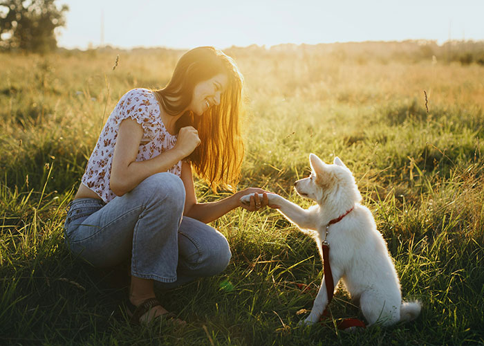 Quietest Dog Breeds Exposed By Experts, Perfect For Peaceful Homes Quietest Dog Breeds Exposed By Experts, Perfect For Peaceful Homes