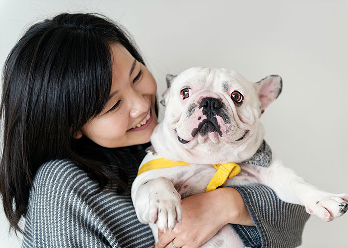Quietest Dog Breeds Exposed By Experts, Perfect For Peaceful Homes Quietest Dog Breeds Exposed By Experts, Perfect For Peaceful Homes