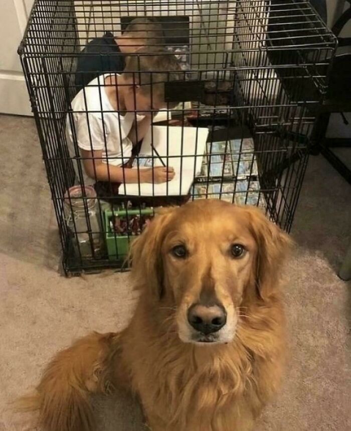 67 Hilarious Images That Are Somehow Both Blessed And Cursed 67 Hilarious Images That Are Somehow Both Blessed And Cursed