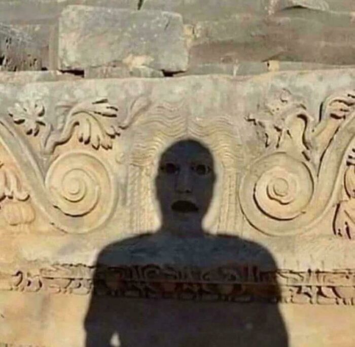 67 Hilarious Images That Are Somehow Both Blessed And Cursed 67 Hilarious Images That Are Somehow Both Blessed And Cursed