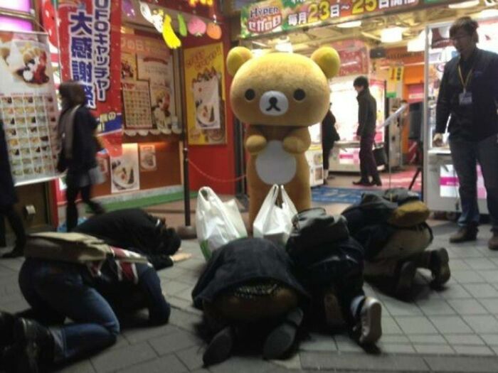 67 Hilarious Images That Are Somehow Both Blessed And Cursed 67 Hilarious Images That Are Somehow Both Blessed And Cursed