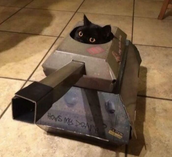 67 Hilarious Images That Are Somehow Both Blessed And Cursed 67 Hilarious Images That Are Somehow Both Blessed And Cursed