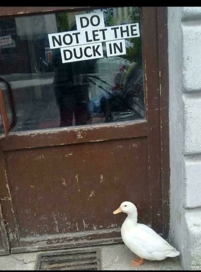 67 Hilarious Images That Are Somehow Both Blessed And Cursed 67 Hilarious Images That Are Somehow Both Blessed And Cursed