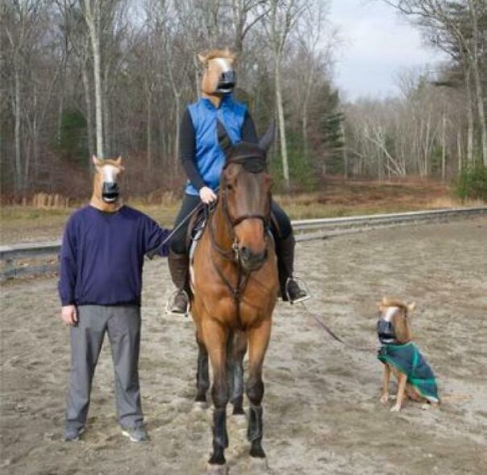 67 Hilarious Images That Are Somehow Both Blessed And Cursed 67 Hilarious Images That Are Somehow Both Blessed And Cursed