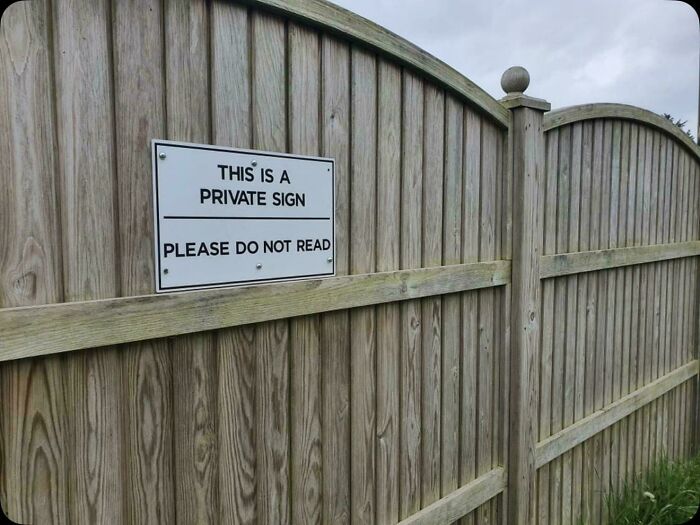 67 Hilarious Images That Are Somehow Both Blessed And Cursed 67 Hilarious Images That Are Somehow Both Blessed And Cursed
