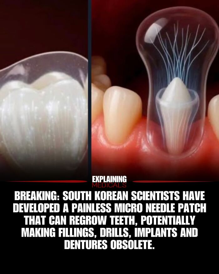 &ldquo;The Patient Has 81 Teeth&rdquo;: 61 Facts About Health And The Human Body That Show Just How Strange We Really Are