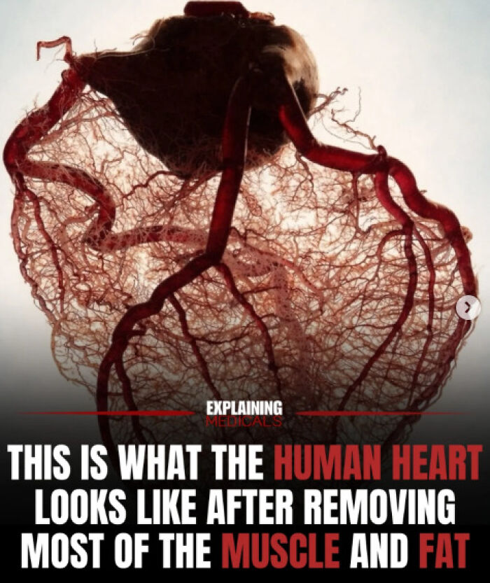 &ldquo;The Patient Has 81 Teeth&rdquo;: 61 Facts About Health And The Human Body That Show Just How Strange We Really Are