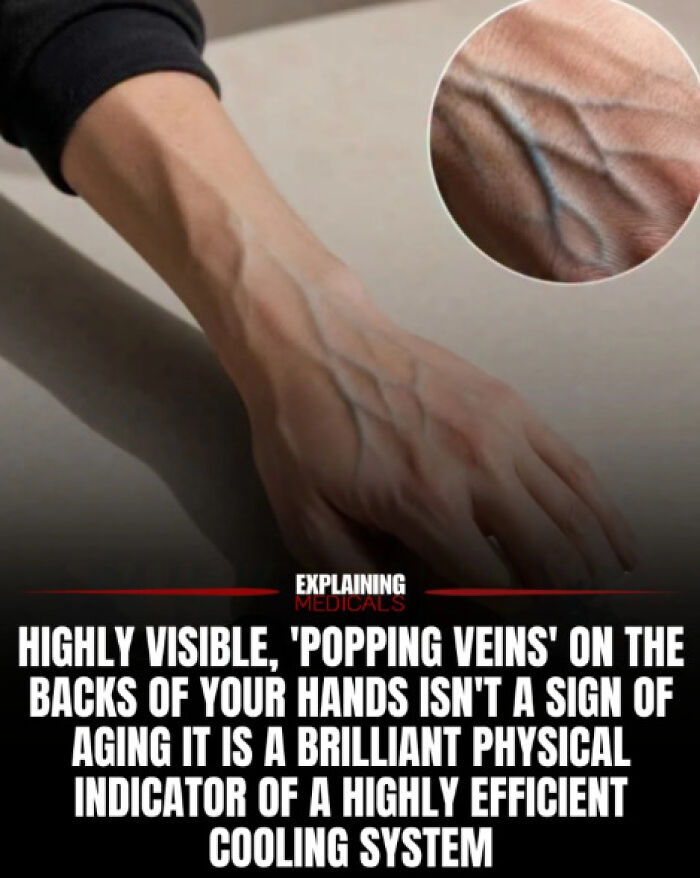 &ldquo;The Patient Has 81 Teeth&rdquo;: 61 Facts About Health And The Human Body That Show Just How Strange We Really Are