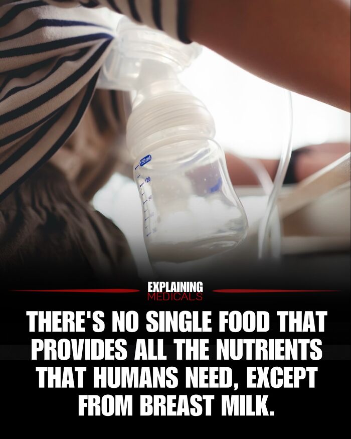 &ldquo;The Patient Has 81 Teeth&rdquo;: 61 Facts About Health And The Human Body That Show Just How Strange We Really Are