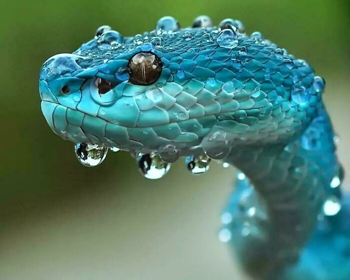 115 Photos And Facts That Showcase Just How Incredible Our World Really Is 115 Photos And Facts That Showcase Just How Incredible Our World Really Is