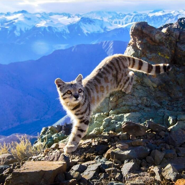 115 Photos And Facts That Showcase Just How Incredible Our World Really Is 115 Photos And Facts That Showcase Just How Incredible Our World Really Is