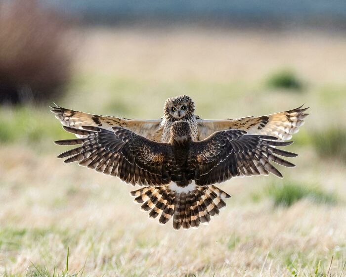 115 Photos And Facts That Showcase Just How Incredible Our World Really Is 115 Photos And Facts That Showcase Just How Incredible Our World Really Is