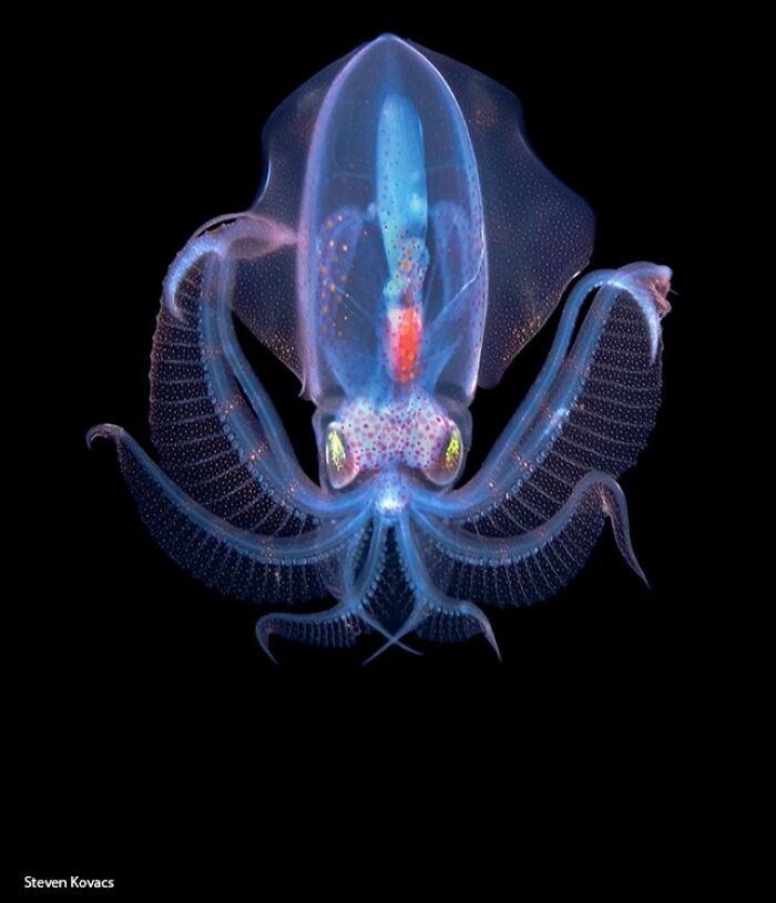 115 Photos And Facts That Showcase Just How Incredible Our World Really Is 115 Photos And Facts That Showcase Just How Incredible Our World Really Is