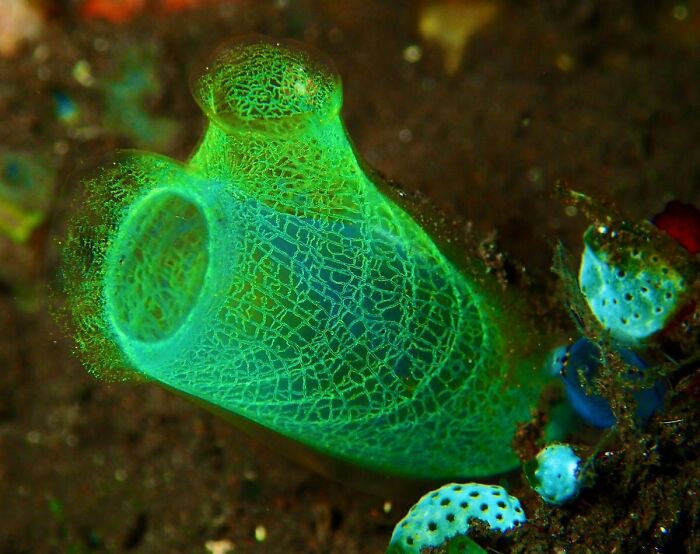 115 Photos And Facts That Showcase Just How Incredible Our World Really Is 115 Photos And Facts That Showcase Just How Incredible Our World Really Is