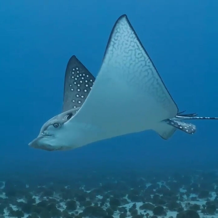 115 Photos And Facts That Showcase Just How Incredible Our World Really Is 115 Photos And Facts That Showcase Just How Incredible Our World Really Is