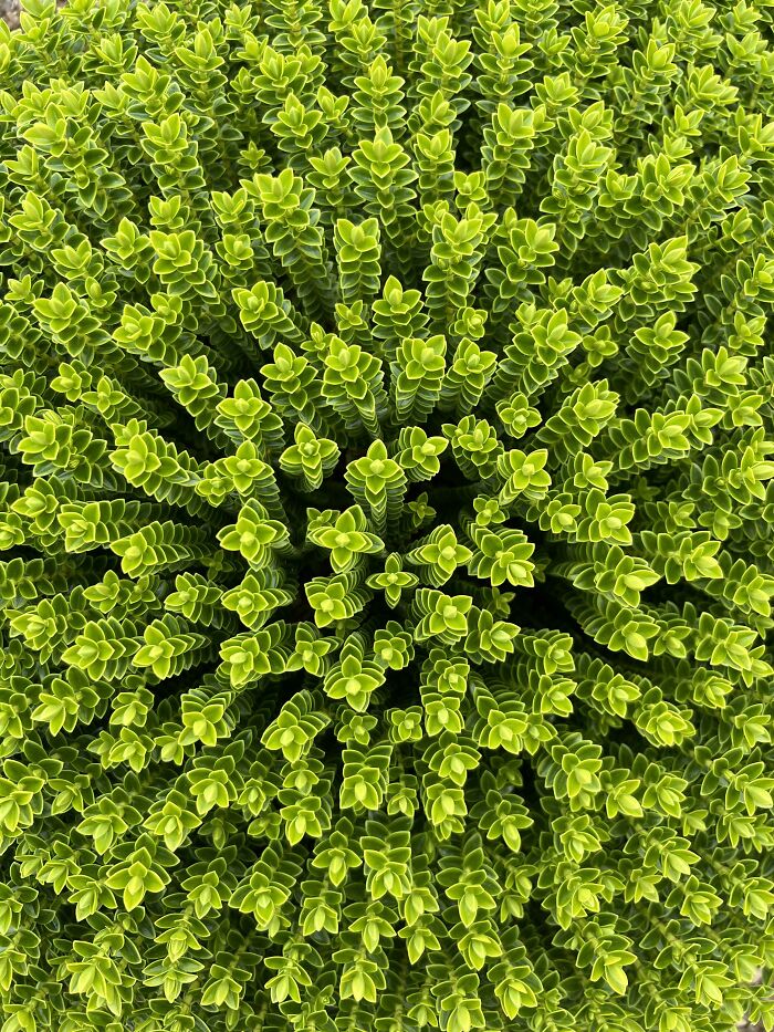 115 Photos And Facts That Showcase Just How Incredible Our World Really Is 115 Photos And Facts That Showcase Just How Incredible Our World Really Is