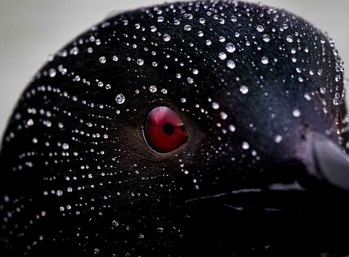 115 Photos And Facts That Showcase Just How Incredible Our World Really Is 115 Photos And Facts That Showcase Just How Incredible Our World Really Is