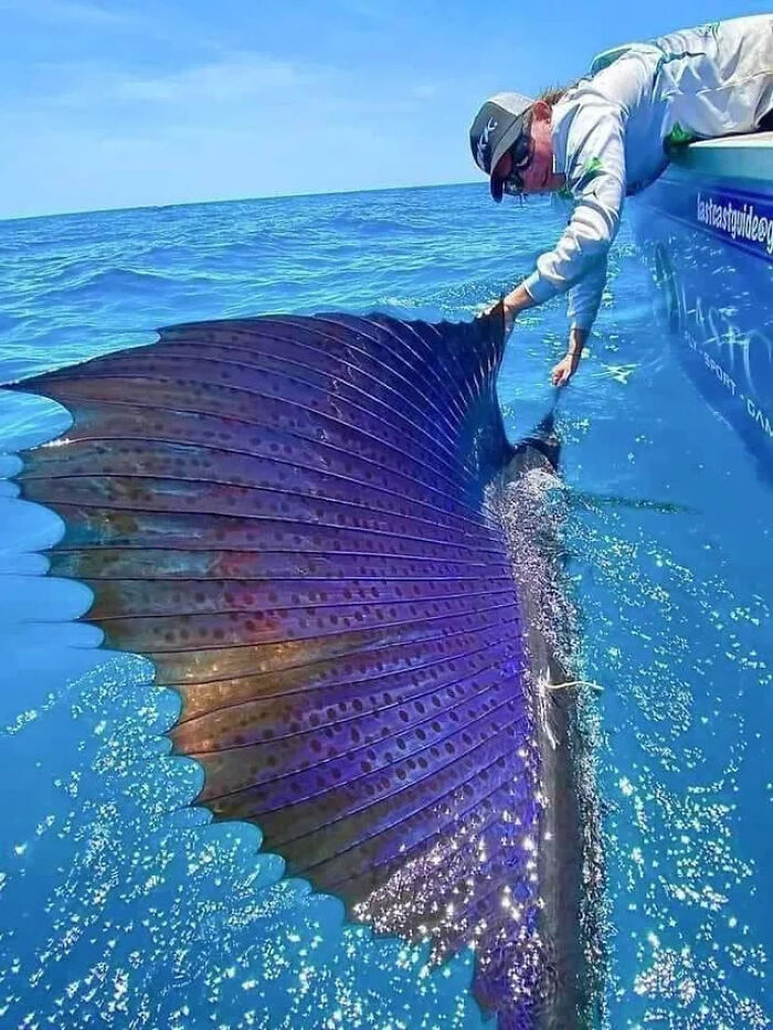 115 Photos And Facts That Showcase Just How Incredible Our World Really Is 115 Photos And Facts That Showcase Just How Incredible Our World Really Is