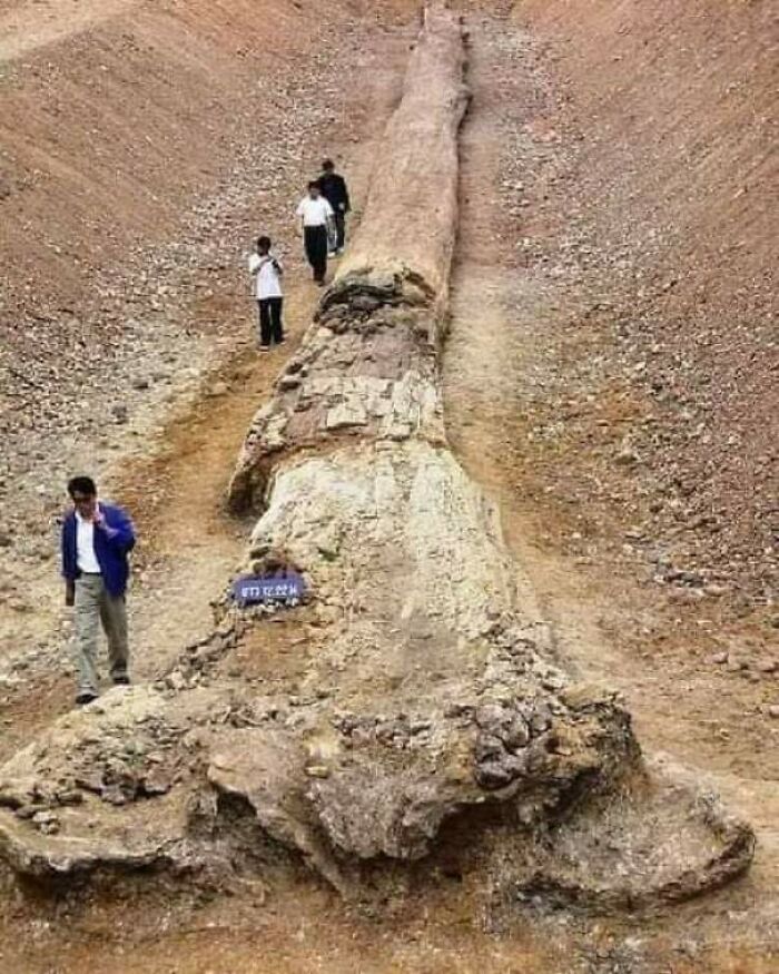 115 Photos And Facts That Showcase Just How Incredible Our World Really Is 115 Photos And Facts That Showcase Just How Incredible Our World Really Is