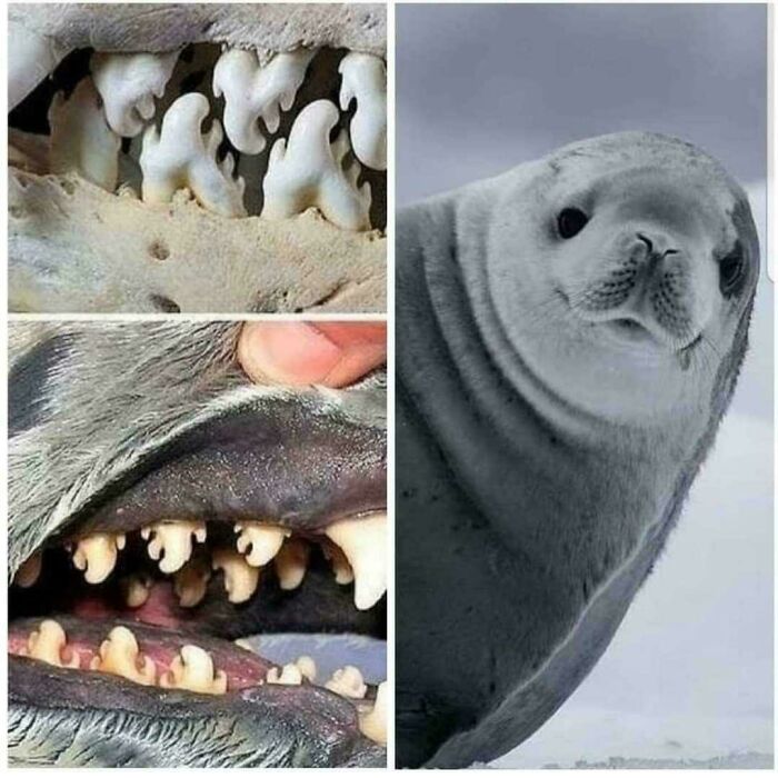 115 Photos And Facts That Showcase Just How Incredible Our World Really Is 115 Photos And Facts That Showcase Just How Incredible Our World Really Is