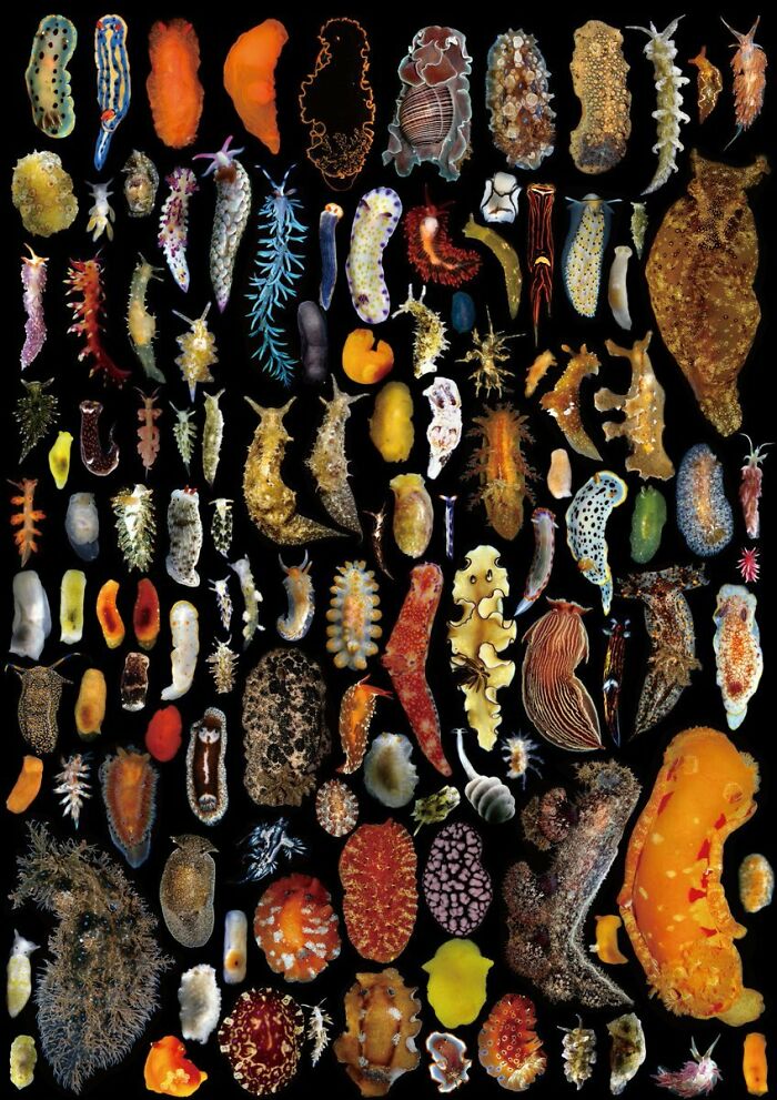 115 Photos And Facts That Showcase Just How Incredible Our World Really Is 115 Photos And Facts That Showcase Just How Incredible Our World Really Is
