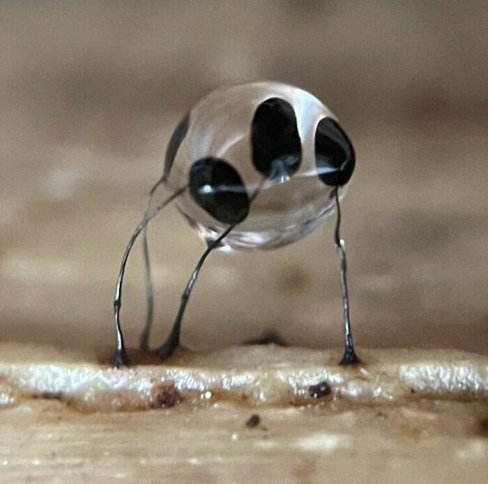 115 Photos And Facts That Showcase Just How Incredible Our World Really Is 115 Photos And Facts That Showcase Just How Incredible Our World Really Is