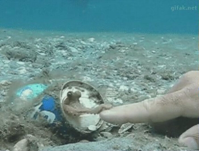 115 Photos And Facts That Showcase Just How Incredible Our World Really Is 115 Photos And Facts That Showcase Just How Incredible Our World Really Is