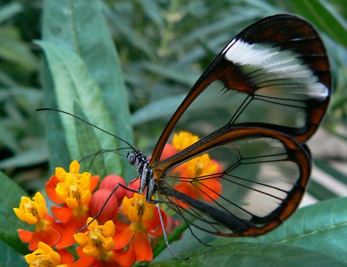 115 Photos And Facts That Showcase Just How Incredible Our World Really Is 115 Photos And Facts That Showcase Just How Incredible Our World Really Is