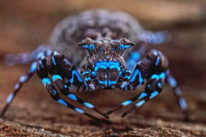 115 Photos And Facts That Showcase Just How Incredible Our World Really Is 115 Photos And Facts That Showcase Just How Incredible Our World Really Is