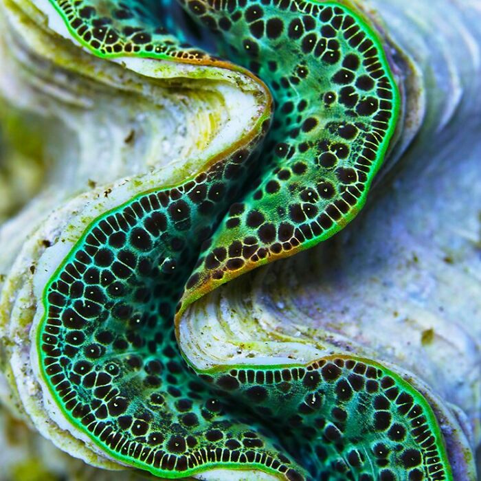 115 Photos And Facts That Showcase Just How Incredible Our World Really Is 115 Photos And Facts That Showcase Just How Incredible Our World Really Is