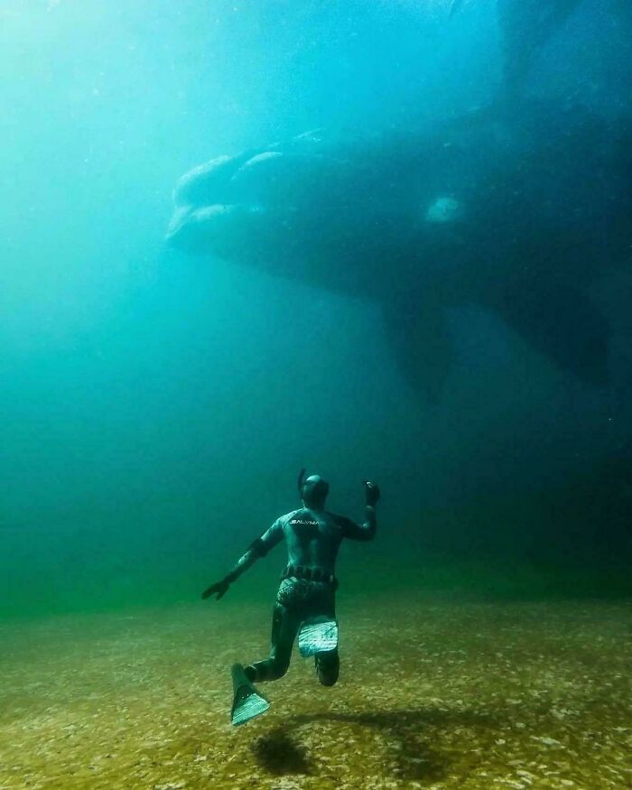 115 Photos And Facts That Showcase Just How Incredible Our World Really Is 115 Photos And Facts That Showcase Just How Incredible Our World Really Is