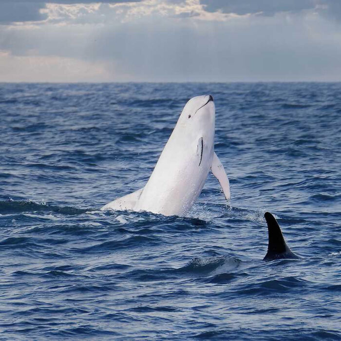 115 Photos And Facts That Showcase Just How Incredible Our World Really Is 115 Photos And Facts That Showcase Just How Incredible Our World Really Is