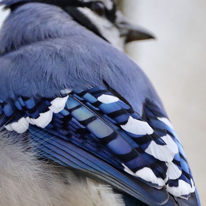 115 Photos And Facts That Showcase Just How Incredible Our World Really Is 115 Photos And Facts That Showcase Just How Incredible Our World Really Is