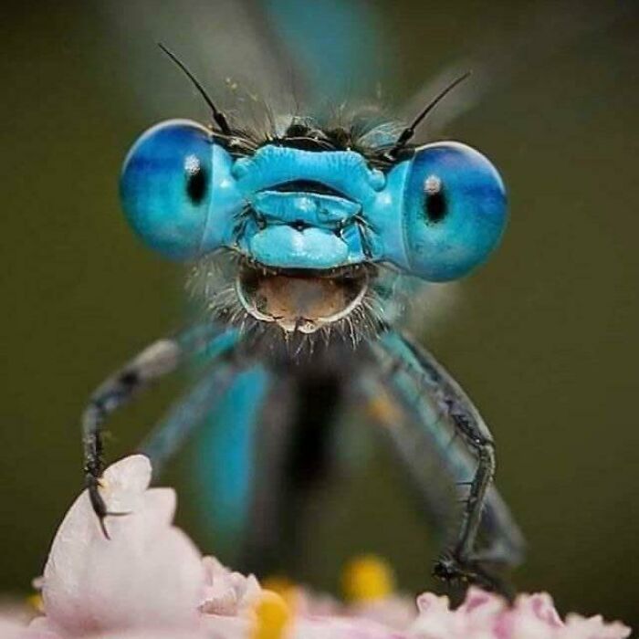 115 Photos And Facts That Showcase Just How Incredible Our World Really Is 115 Photos And Facts That Showcase Just How Incredible Our World Really Is
