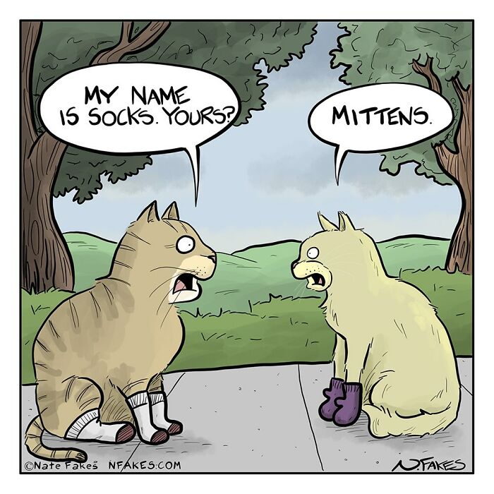 64 New Comics By Nate Fakes That Are Equal Parts Funny And Relatable