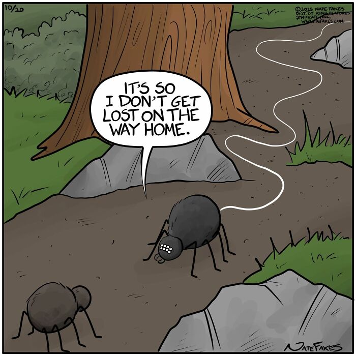 64 New Comics By Nate Fakes That Are Equal Parts Funny And Relatable
