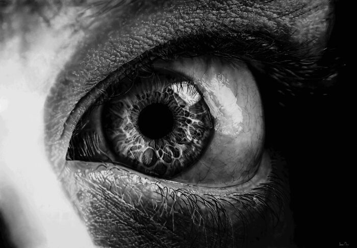 21 Surreal Pencil Drawings By Jono Dry That Blur The Line Between Reality And Imagination 21 Surreal Pencil Drawings By Jono Dry That Blur The Line Between Reality And Imagination