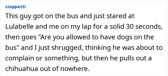56 Real-Life Plot Twists That People Would Never Believe If They Didn’t Actually Happen