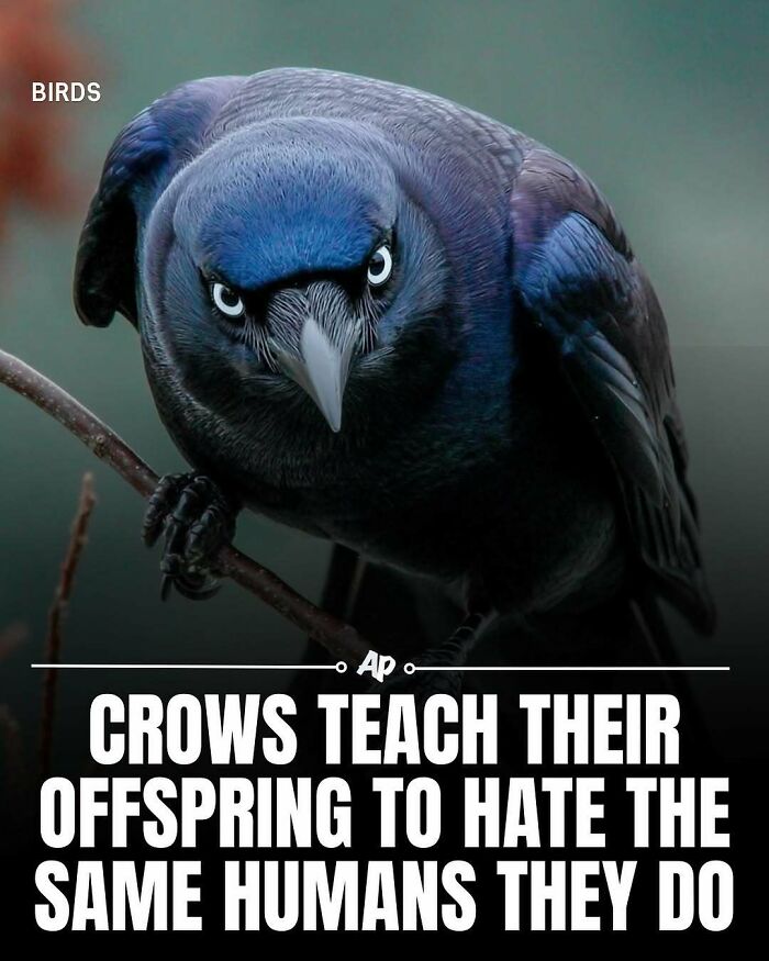 63 Interesting And Cool Animal Facts You Don&rsquo;t Actually Need But Will Never Regret Learning