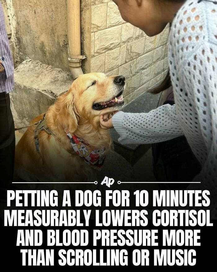 63 Interesting And Cool Animal Facts You Don&rsquo;t Actually Need But Will Never Regret Learning