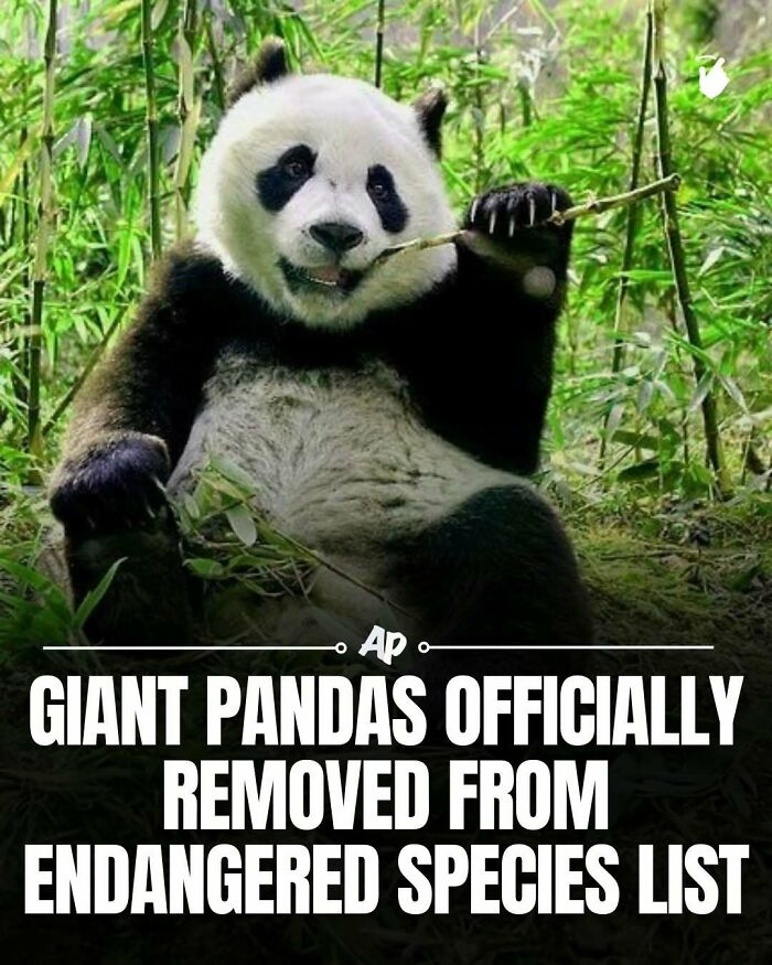 63 Interesting And Cool Animal Facts You Don&rsquo;t Actually Need But Will Never Regret Learning