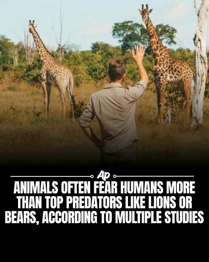 63 Interesting And Cool Animal Facts You Don&rsquo;t Actually Need But Will Never Regret Learning
