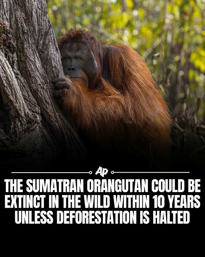 63 Interesting And Cool Animal Facts You Don&rsquo;t Actually Need But Will Never Regret Learning