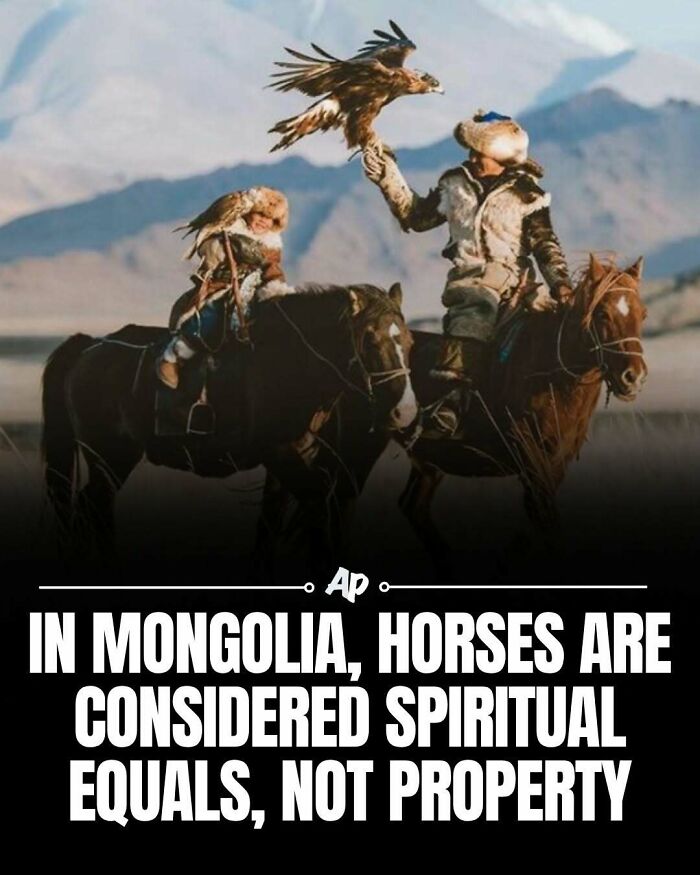 63 Interesting And Cool Animal Facts You Don&rsquo;t Actually Need But Will Never Regret Learning
