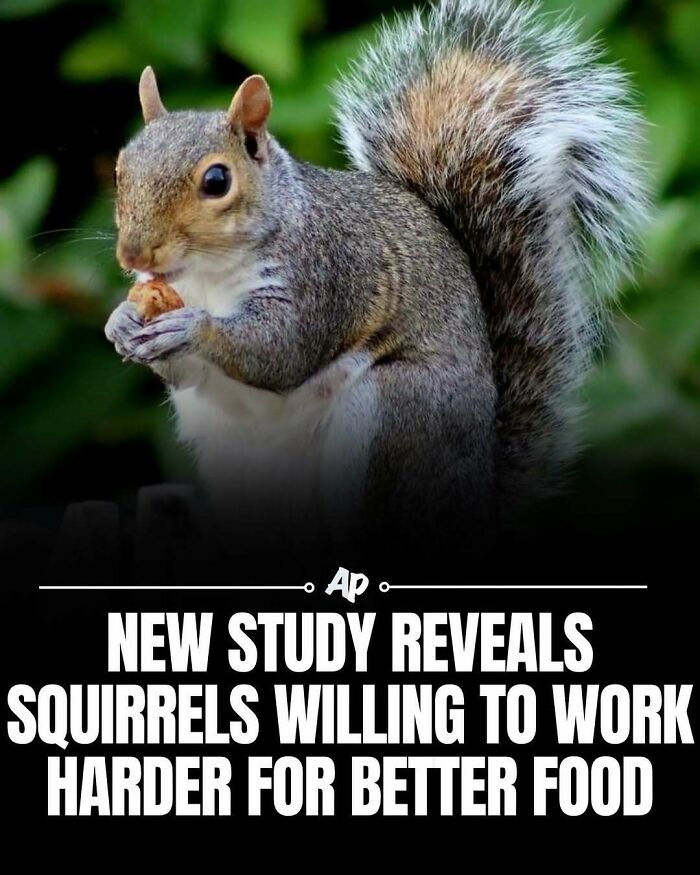 63 Interesting And Cool Animal Facts You Don&rsquo;t Actually Need But Will Never Regret Learning