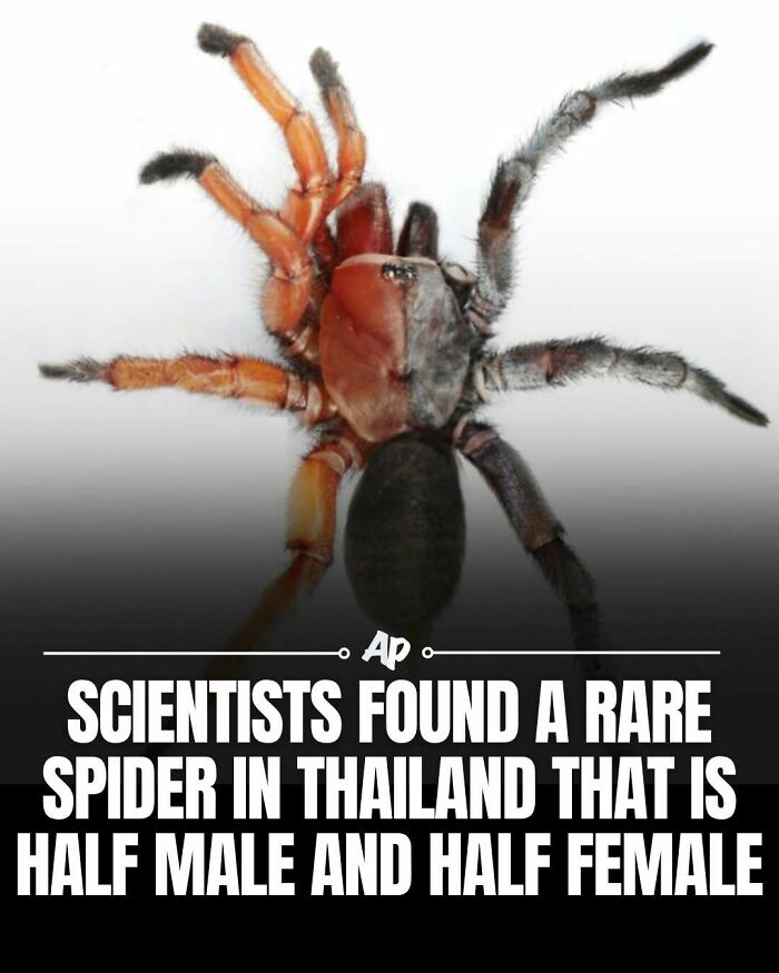 63 Interesting And Cool Animal Facts You Don&rsquo;t Actually Need But Will Never Regret Learning