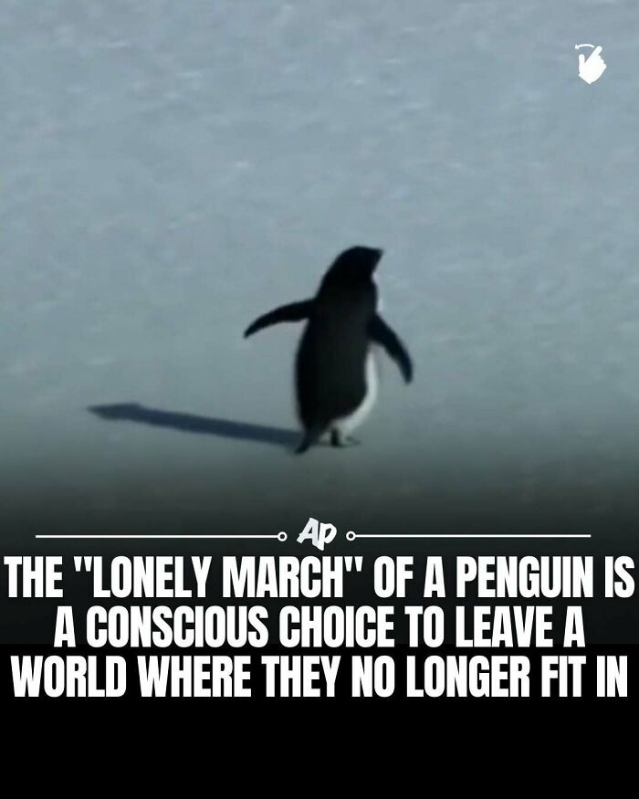 63 Interesting And Cool Animal Facts You Don&rsquo;t Actually Need But Will Never Regret Learning
