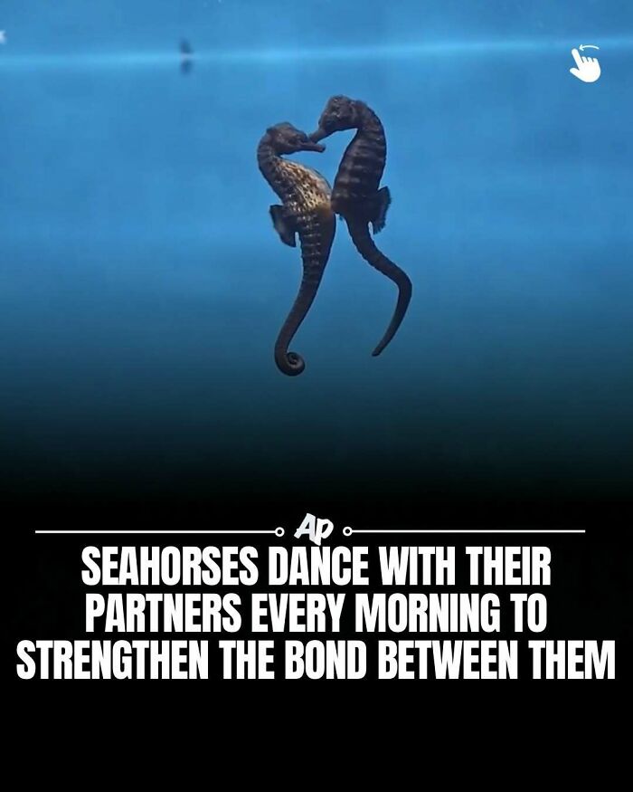 63 Interesting And Cool Animal Facts You Don&rsquo;t Actually Need But Will Never Regret Learning
