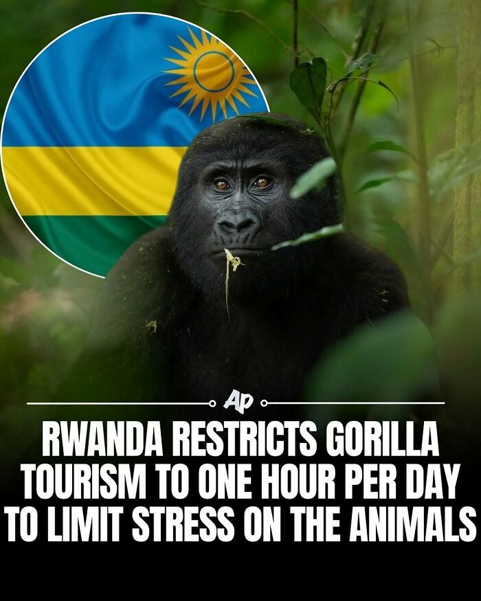 63 Interesting And Cool Animal Facts You Don&rsquo;t Actually Need But Will Never Regret Learning