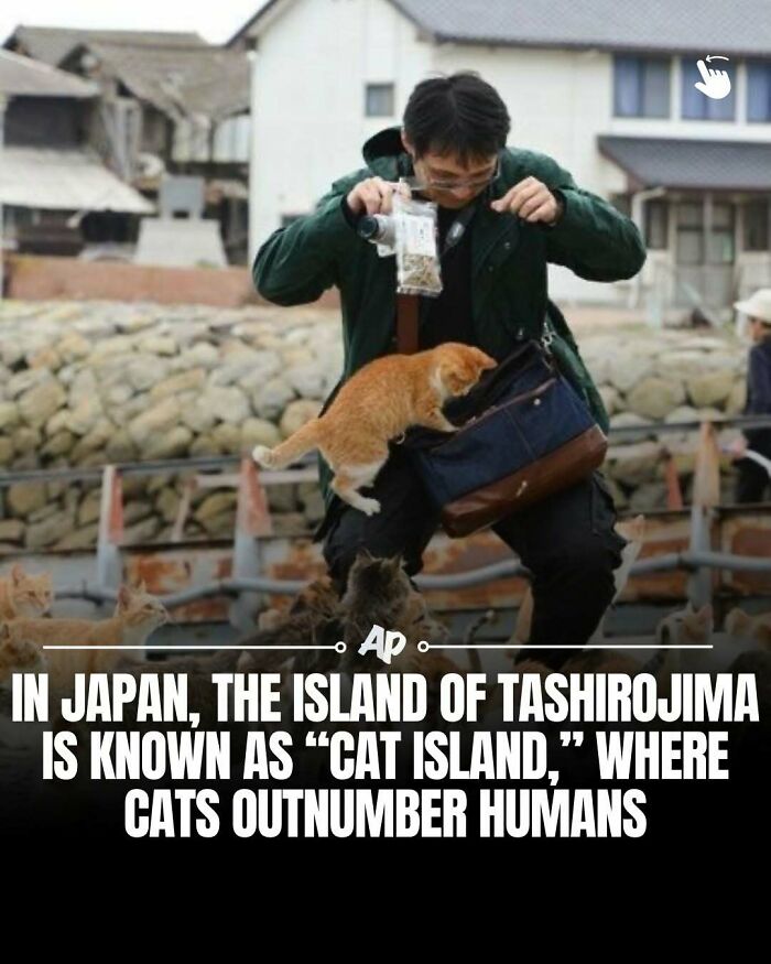 63 Interesting And Cool Animal Facts You Don&rsquo;t Actually Need But Will Never Regret Learning